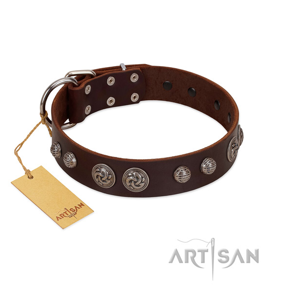Fashionable genuine leather dog collar for basic training