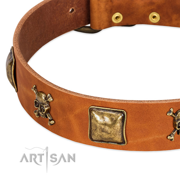 Fashionable embellishments on full grain leather collar for your dog