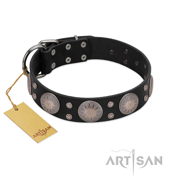 Stylish adorned full grain leather dog collar