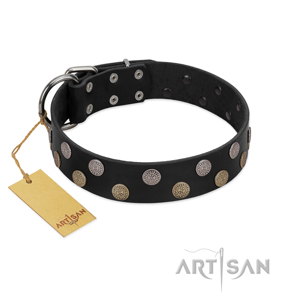 Genuine leather dog collar with impressive studs for your pet