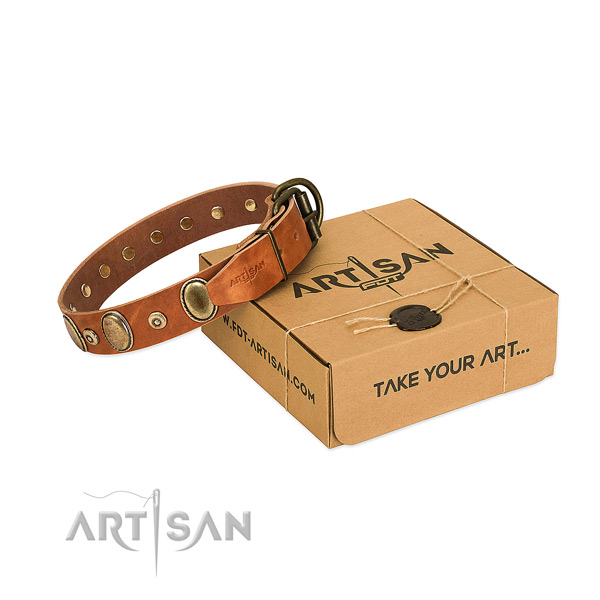 Gentle to touch full grain leather collar crafted for your four-legged friend