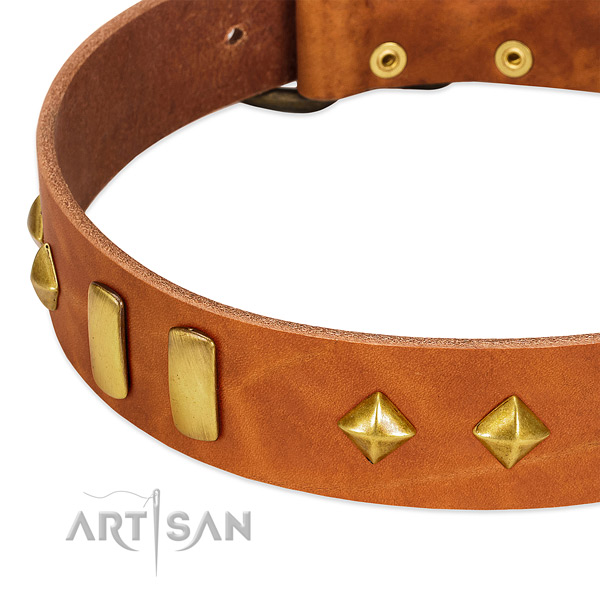 Fancy walking genuine leather dog collar with stunning decorations