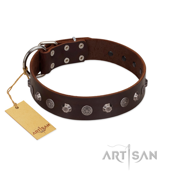 Handcrafted full grain natural leather dog collar