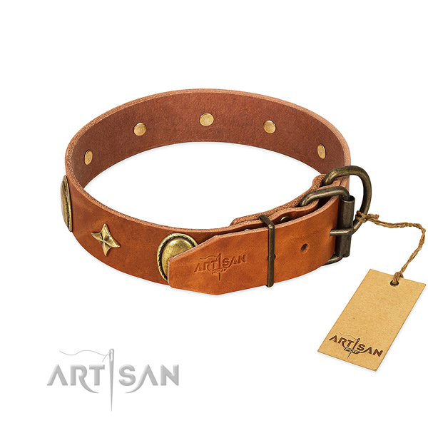 High quality full grain leather dog collar with exceptional decorations