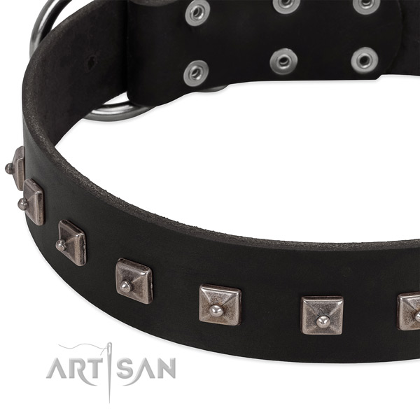 Quality genuine leather collar with studs for your canine