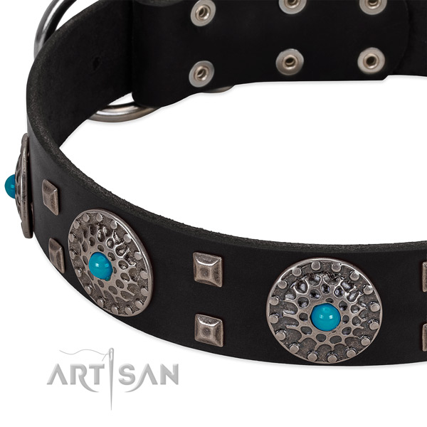 Soft to touch full grain genuine leather dog collar with exceptional adornments