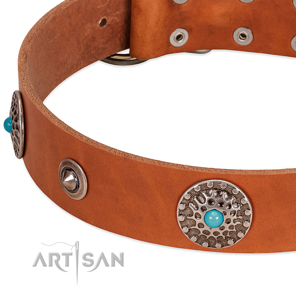 Stylish walking soft full grain genuine leather dog collar with studs