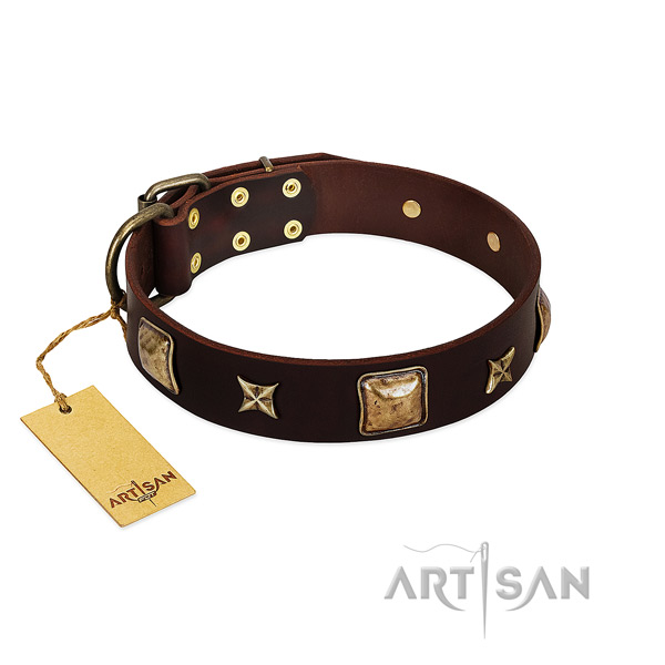 Stunning full grain leather collar for your canine
