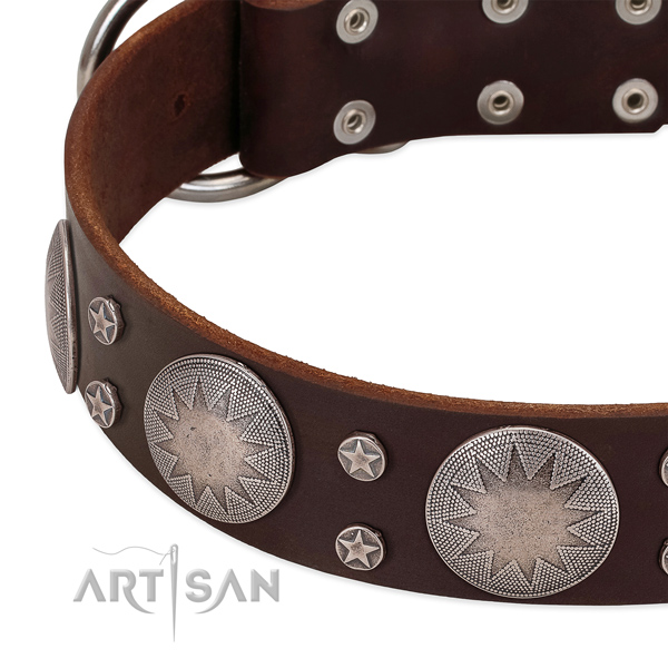 Soft to touch leather dog collar with decorations for your lovely canine
