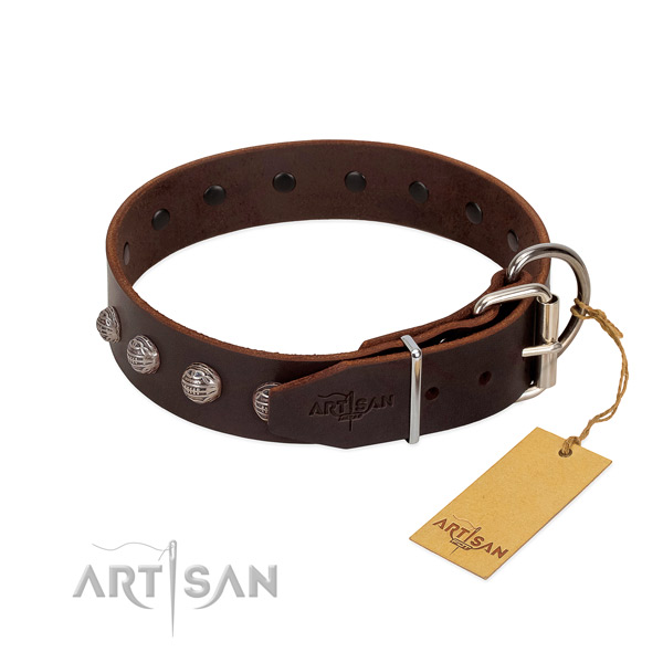 Unusual dog collar created for your attractive dog