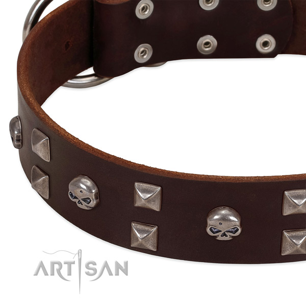 Strong full grain genuine leather dog collar handmade for your four-legged friend