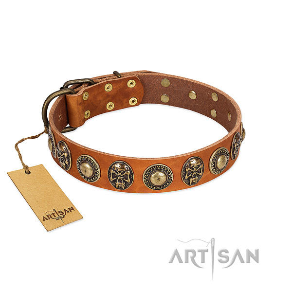 Easy adjustable full grain genuine leather dog collar for basic training your canine