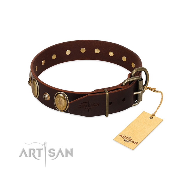 Reliable traditional buckle on natural genuine leather collar for basic training your pet