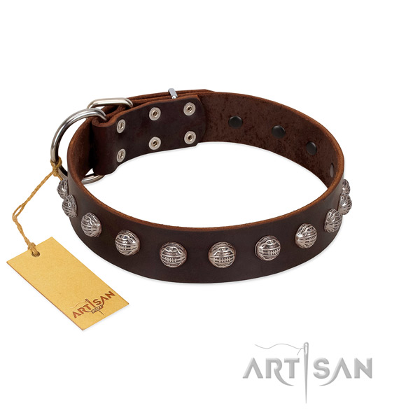 Rust resistant hardware on exceptional full grain leather dog collar