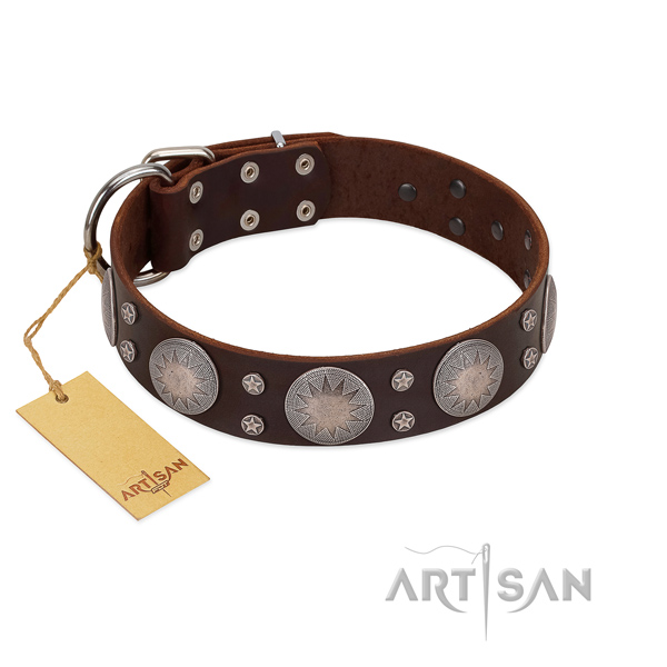 Stylish embellished full grain leather dog collar