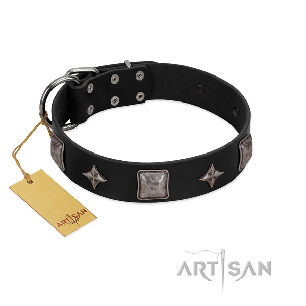 Extraordinary natural leather collar for your lovely pet
