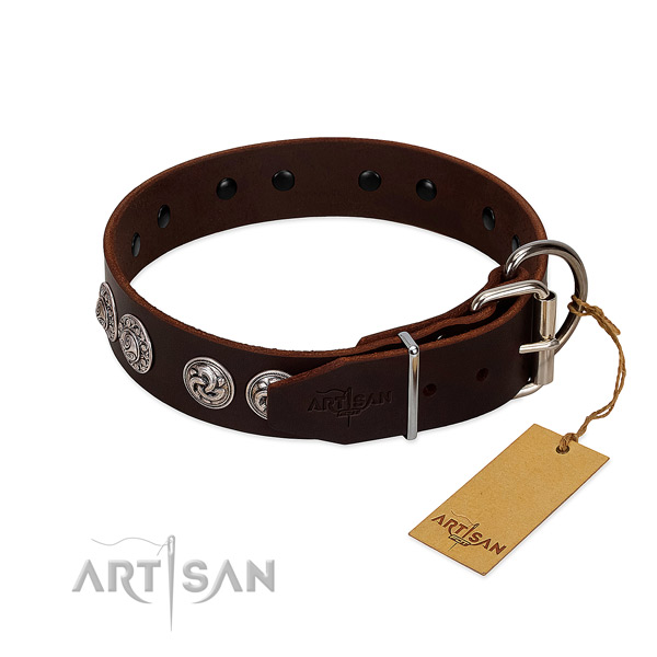 Remarkable leather collar for your pet stylish walks