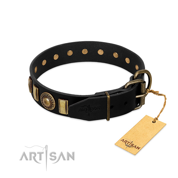 Best quality leather dog collar with adornments