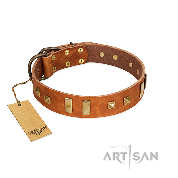 Full grain leather dog collar with rust resistant hardware