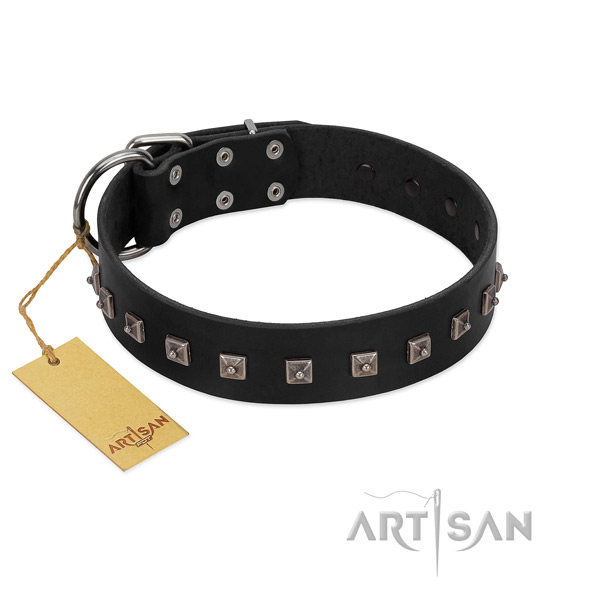 Amazing decorated full grain leather dog collar