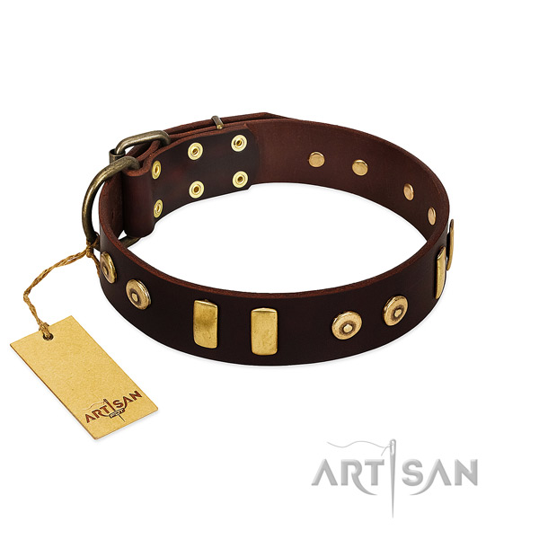 Genuine leather dog collar with designer decorations for daily walking