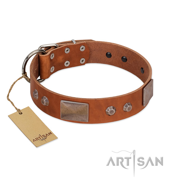 Easy adjustable full grain natural leather dog collar with strong buckle