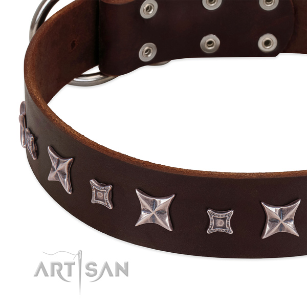 Stylish dog collar of full grain genuine leather with embellishments