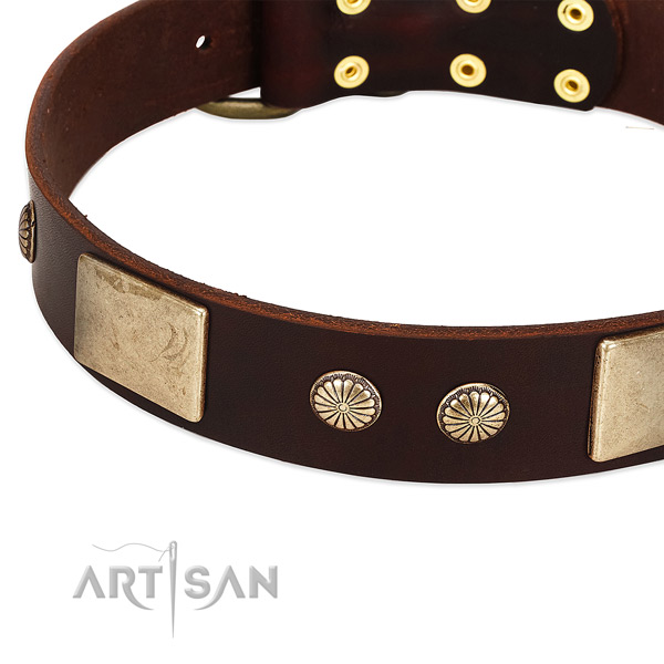 Corrosion proof buckle on full grain natural leather dog collar for your pet