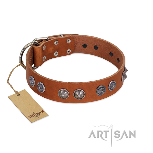 Flexible natural leather collar with adornments for your doggie