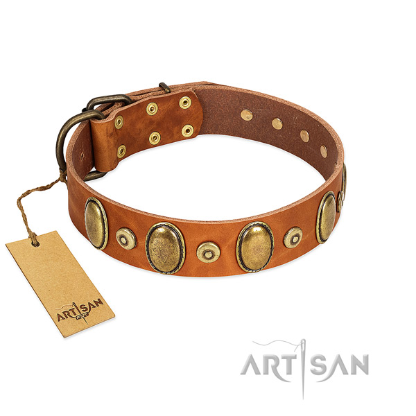 Reliable buckle on dog collar for comfy wearing
