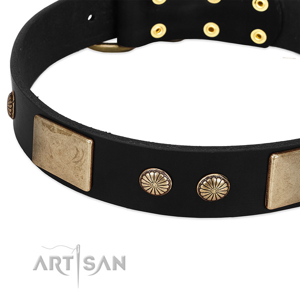 Full grain natural leather dog collar with studs for easy wearing
