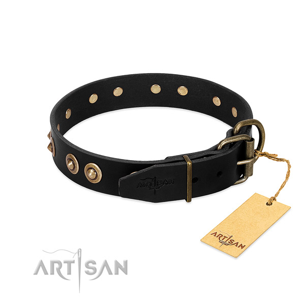 Durable decorations on leather dog collar for your pet