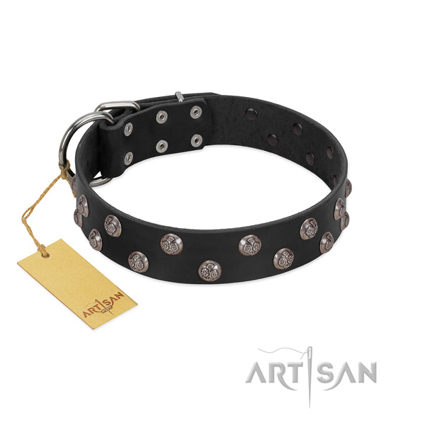 Daily walking soft to touch leather dog collar with studs