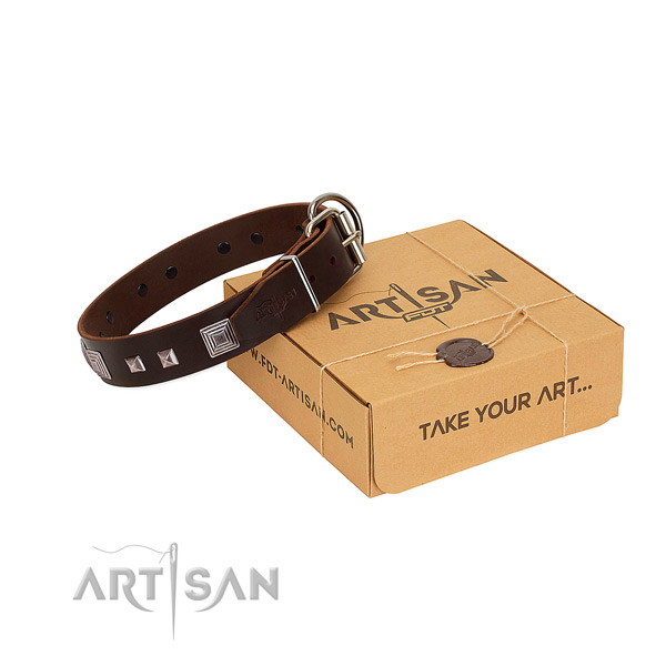 Exceptional full grain leather collar with adornments for your four-legged friend