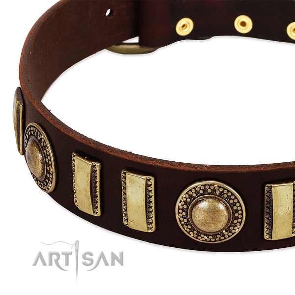 Gentle to touch leather dog collar with corrosion resistant traditional buckle