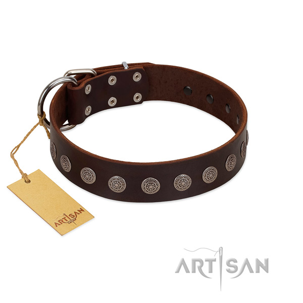 Trendy natural leather collar for your doggie