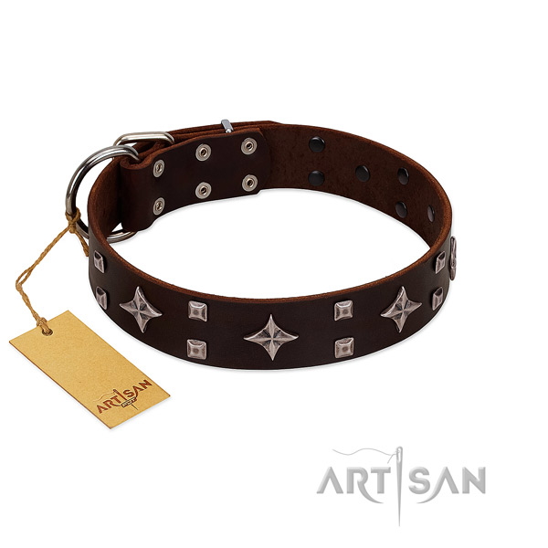 Amazing genuine leather collar for your doggie walking in style