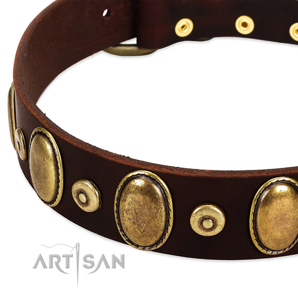 Embellished full grain natural leather collar for your attractive doggie