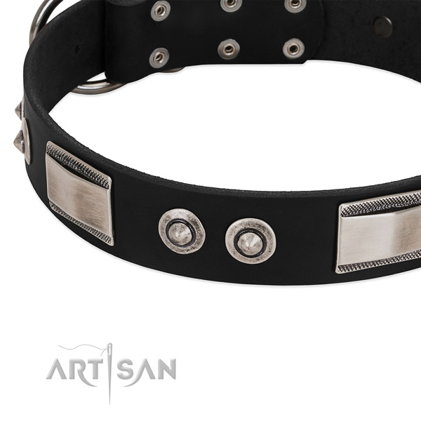 Embellished collar of full grain genuine leather for your impressive four-legged friend