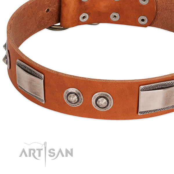 Unique genuine leather collar with studs for your dog
