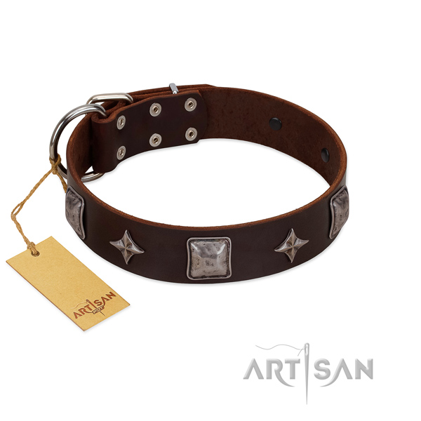 Incredible full grain leather collar for your lovely dog