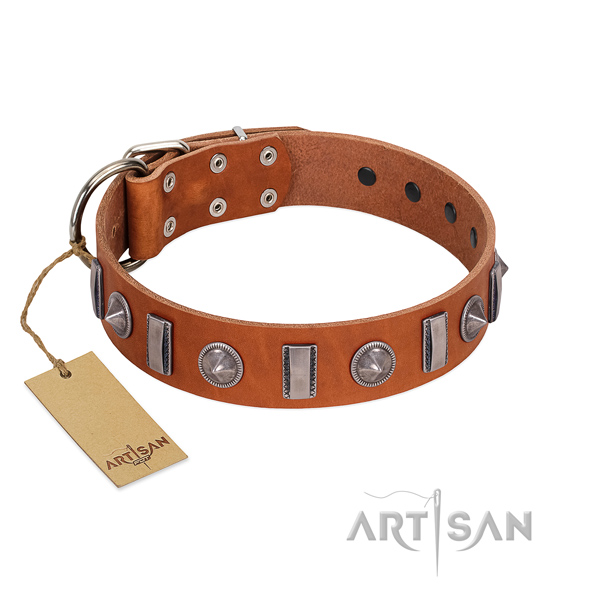 Top rate natural leather dog collar with studs for everyday use