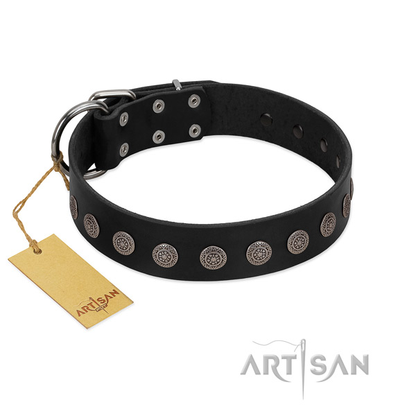 Significant full grain leather collar for your pet