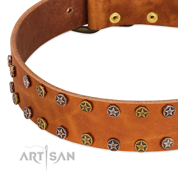 Everyday walking full grain natural leather dog collar with stylish design studs