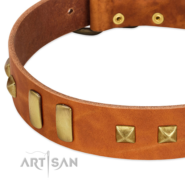 Soft full grain natural leather dog collar with adornments for comfy wearing