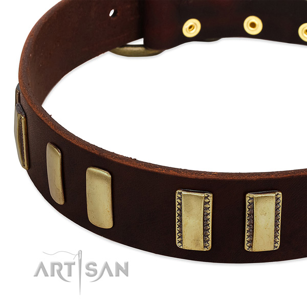 Natural leather dog collar with durable hardware for daily use