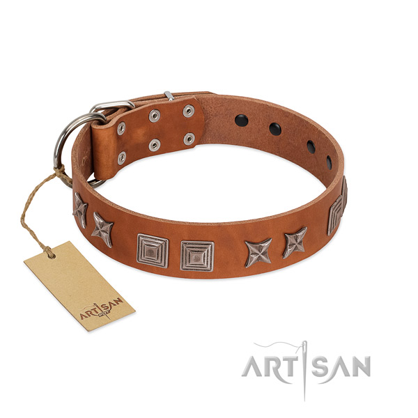 Genuine leather dog collar with stylish design studs crafted pet