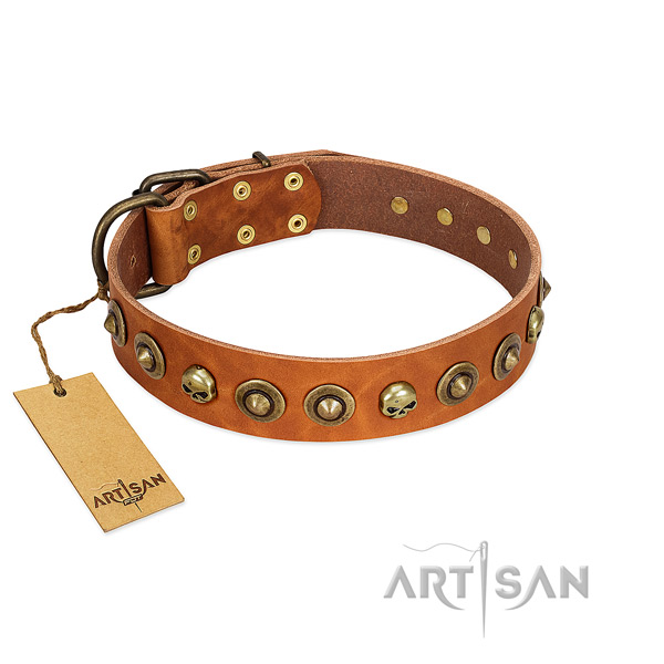 Full grain leather collar with stylish decorations for your doggie