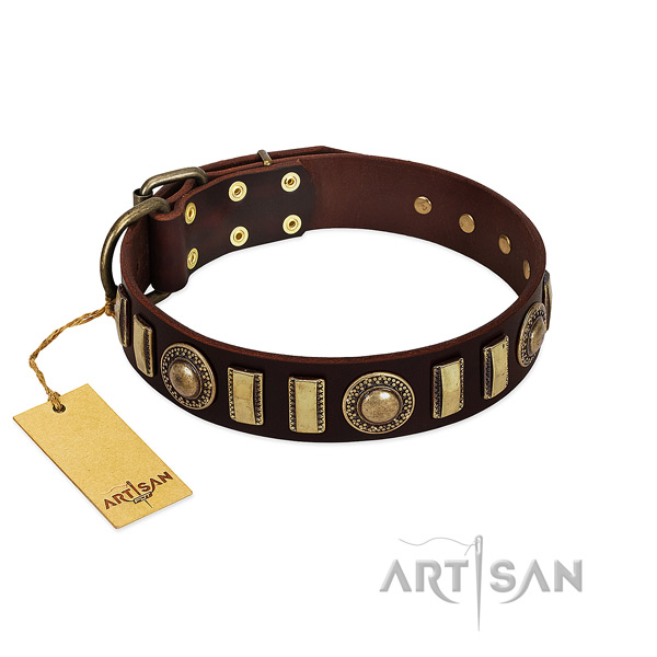 Quality genuine leather dog collar with durable buckle
