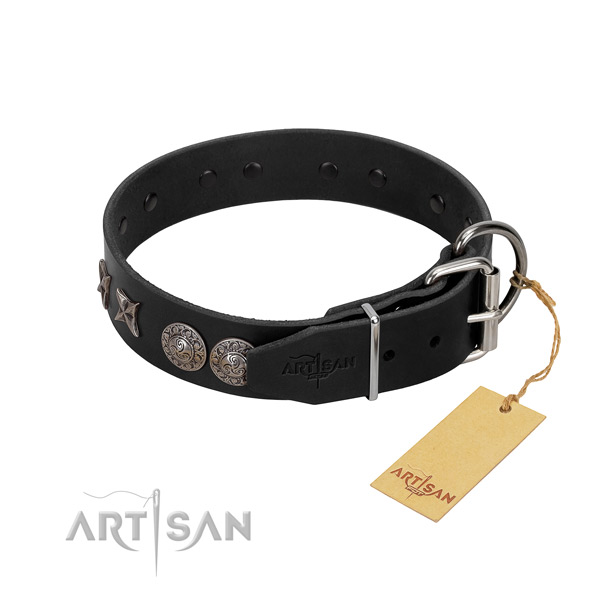 Daily use dog collar of leather with unique adornments